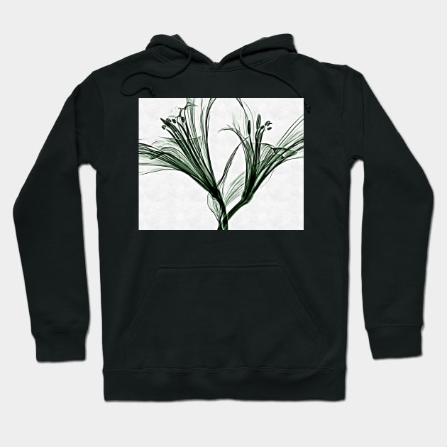 Plant blossom on white background Hoodie by Choulous79